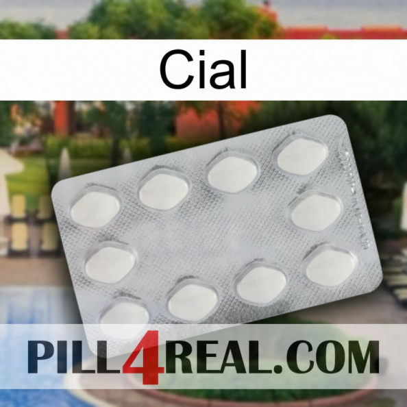 Cial 16.jpg